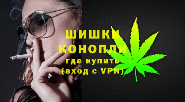 mdpv Вяземский