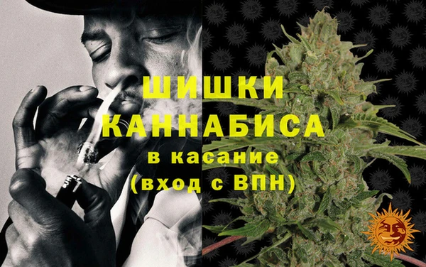 mdpv Вяземский
