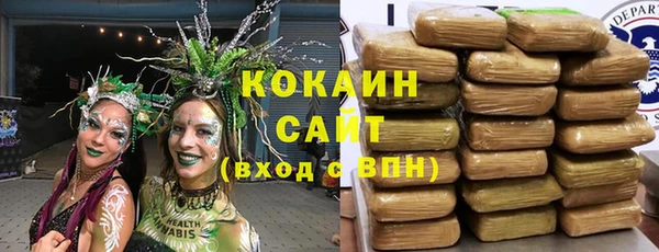 mdpv Вяземский