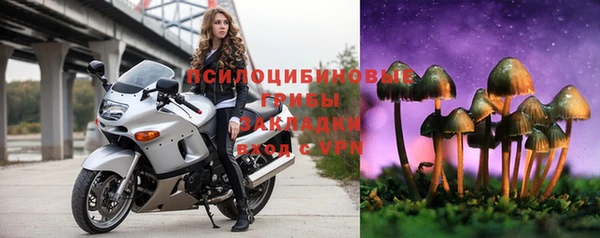 mdpv Вяземский