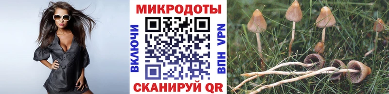Купить где  Поронайск  Псилоцибиновые грибы мухоморы 